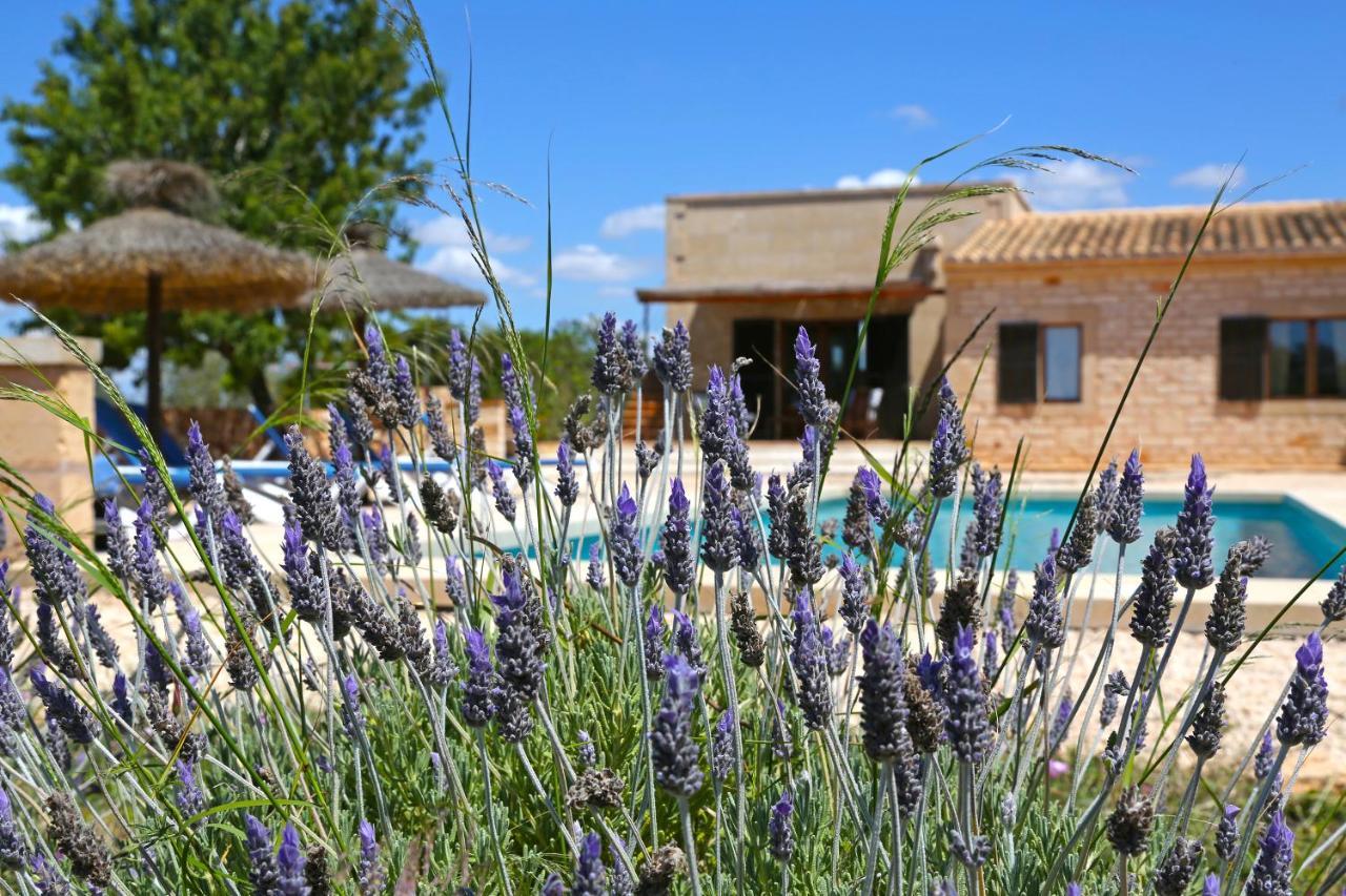 Finca Tiana Ses Salines  Exterior photo